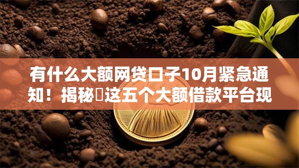 有什么大额网贷口子10月紧急通知！揭秘​这五个大额借款平台现在还有软件
