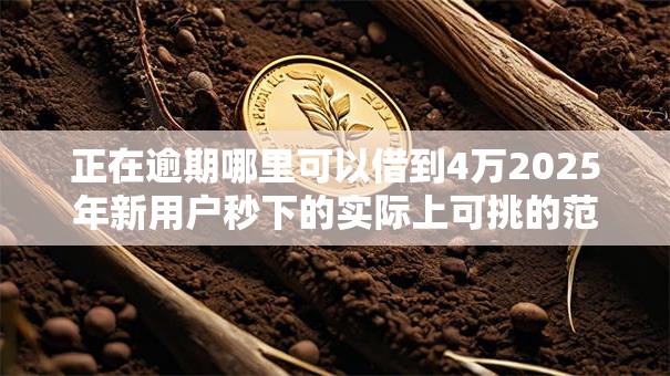 正在逾期哪里可以借到4万2025年新用户秒下的实际上可挑的范围不小！本篇深入汇总​这五个黑户贷款平台！