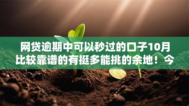 网贷逾期中可以秒过的口子10月比较靠谱的有挺多能挑的余地!今天详细评述这5个黑户贷款口子! 网贷逾期中可以秒过的口子10月比较靠谱的有挺多能挑的余地!今天详细评述这5个黑户贷款口子!