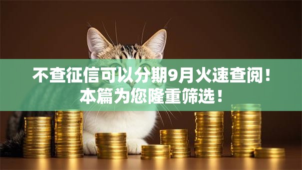 不查征信可以分期9月火速查阅！本篇为您隆重筛选！
