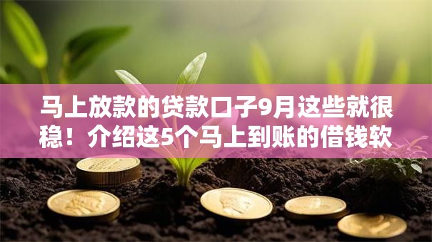 马上放款的贷款口子9月这些就很稳！介绍这5个马上到账的借钱软件