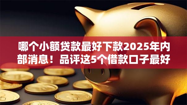 哪个小额贷款最好下款2025年内部消息！品评这5个借款口子最好下款网贷