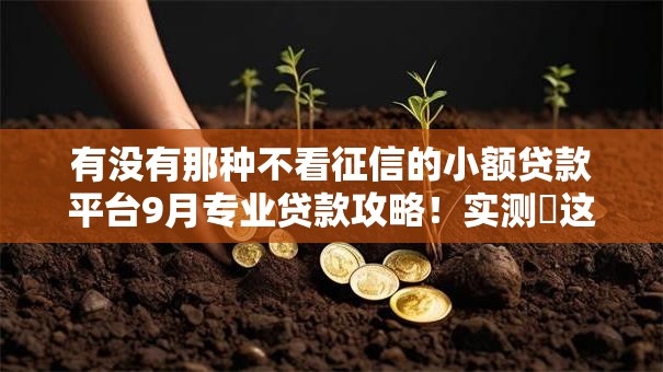 有没有那种不看征信的小额贷款平台9月专业贷款攻略！实测​这五个网贷口子不看征信借钱软件