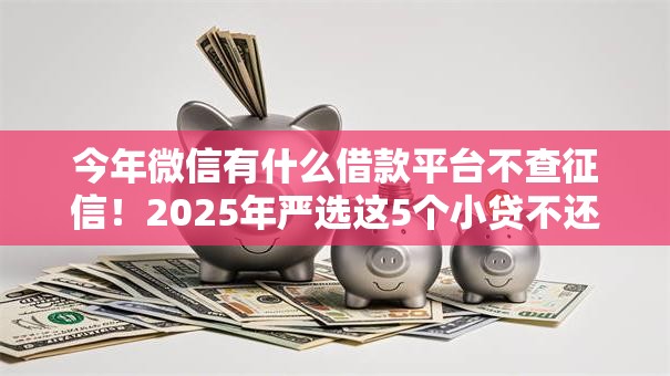 今年微信有什么借款平台不查征信！2025年严选这5个小贷不还换手机号了