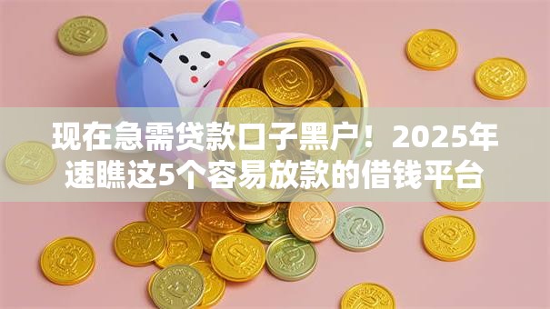 现在急需贷款口子黑户！2025年速瞧这5个容易放款的借钱平台