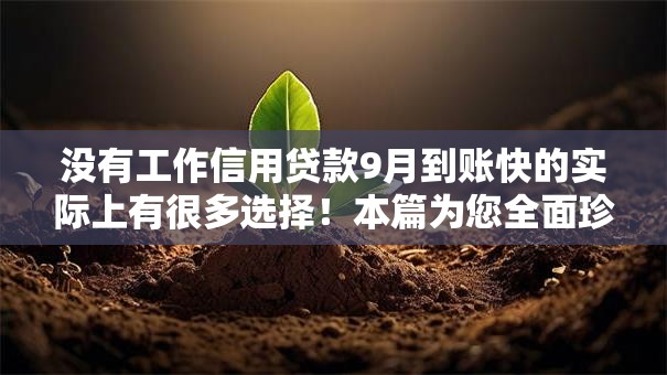 没有工作信用贷款9月到账快的实际上有很多选择！本篇为您全面珍藏这5个黑户借款口子！