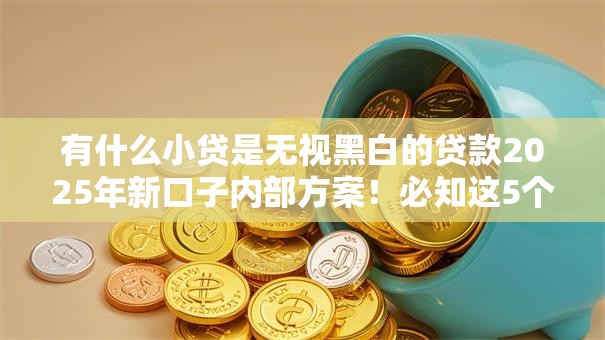 有什么小贷是无视黑白的贷款2025年新口子内部方案！必知这5个网贷无视黑白是借款口子