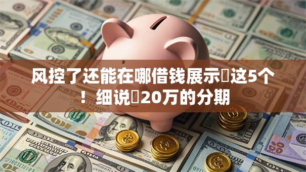 风控了还能在哪借钱展示​这5个！细说​20万的分期