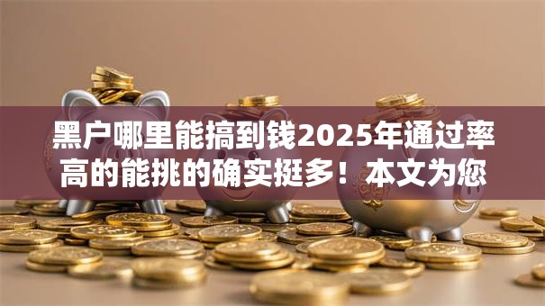 黑户哪里能搞到钱2025年通过率高的能挑的确实挺多！本文为您详细热门这五个黑户借款口子！