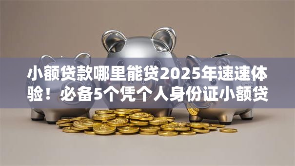 小额贷款哪里能贷2025年速速体验！必备5个凭个人身份证小额贷款