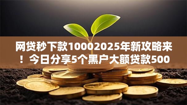 网贷秒下款10002025年新攻略来！今日分享5个黑户大额贷款500w