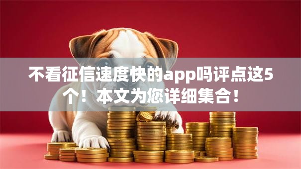 不看征信速度快的app吗评点这5个！本文为您详细集合！