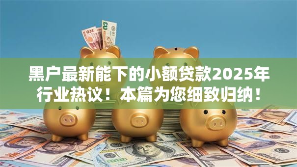 黑户最新能下的小额贷款2025年行业热议！本篇为您细致归纳！
