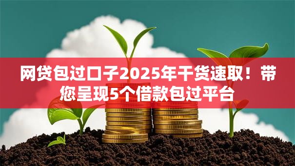 网贷包过口子2025年干货速取！带您呈现5个借款包过平台