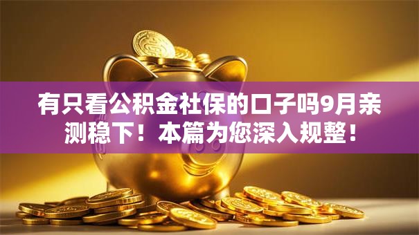 有只看公积金社保的口子吗9月亲测稳下！本篇为您深入规整！