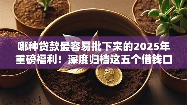 哪种贷款最容易批下来的2025年重磅福利！深度归档这五个借钱口子最容易批下来