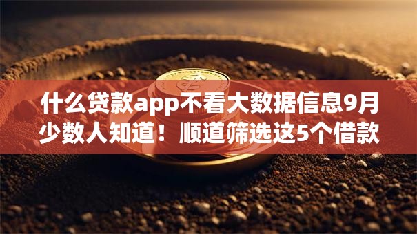 什么贷款app不看大数据信息9月少数人知道！顺道筛选这5个借款平台不查大数据信息