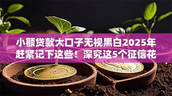 小额贷款大口子无视黑白2025年赶紧记下这些！深究这5个征信花了可以借款的口子