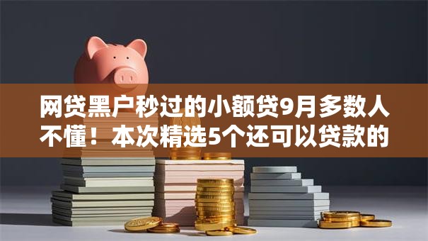 网贷黑户秒过的小额贷9月多数人不懂！本次精选5个还可以贷款的网贷软件