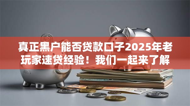 真正黑户能否贷款口子2025年老玩家速贷经验！我们一起来了解一下！