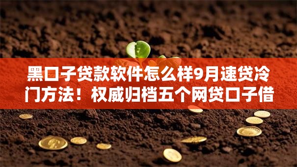 黑口子贷款软件怎么样9月速贷冷门方法！权威归档五个网贷口子借钱平台怎么样