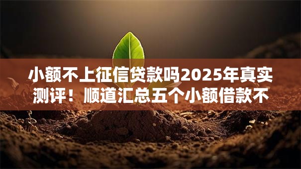小额不上征信贷款吗2025年真实测评！顺道汇总五个小额借款不上征信网贷口子