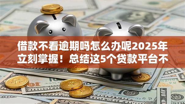 借款不看逾期吗怎么办呢2025年立刻掌握！总结这5个贷款平台不看逾期借钱口子