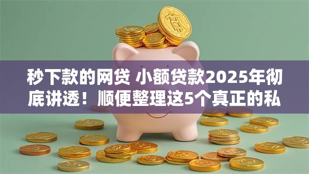 秒下款的网贷 小额贷款2025年彻底讲透！顺便整理这5个真正的私人贷款