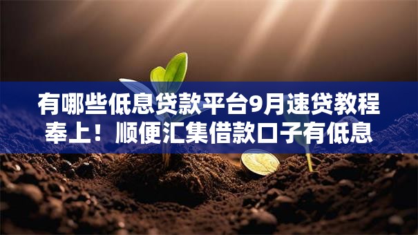 有哪些低息贷款平台9月速贷教程奉上！顺便汇集借款口子有低息网贷软件