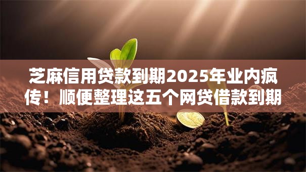 芝麻信用贷款到期2025年业内疯传！顺便整理这五个网贷借款到期平台
