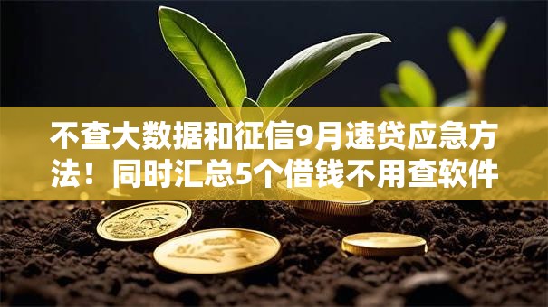 不查大数据和征信9月速贷应急方法！同时汇总5个借钱不用查软件征信