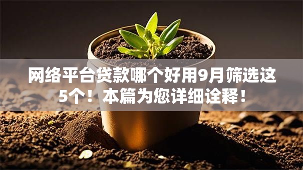 网络平台贷款哪个好用9月筛选这5个！本篇为您详细诠释！