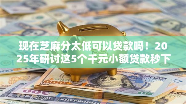 现在芝麻分太低可以贷款吗！2025年研讨这5个千元小额贷款秒下的口子