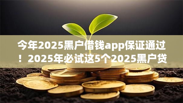 今年2025黑户借钱app保证通过！2025年必试这5个2025黑户贷款平台保证通过
