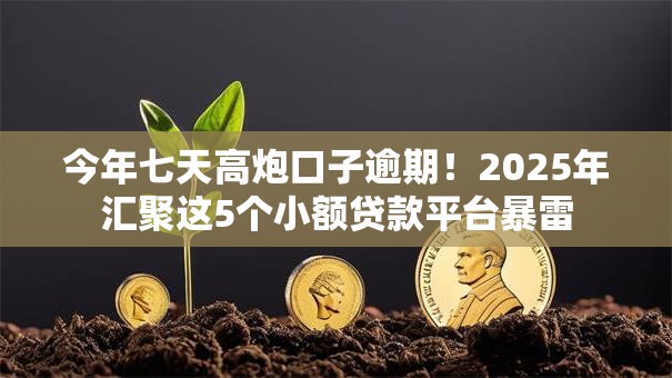 今年七天高炮口子逾期！2025年汇聚这5个小额贷款平台暴雷