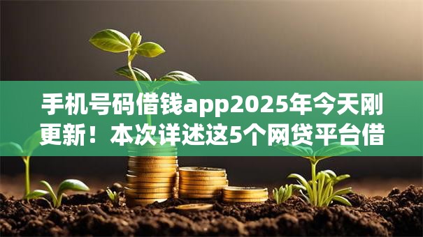 手机号码借钱app2025年今天刚更新！本次详述这5个网贷平台借钱软件