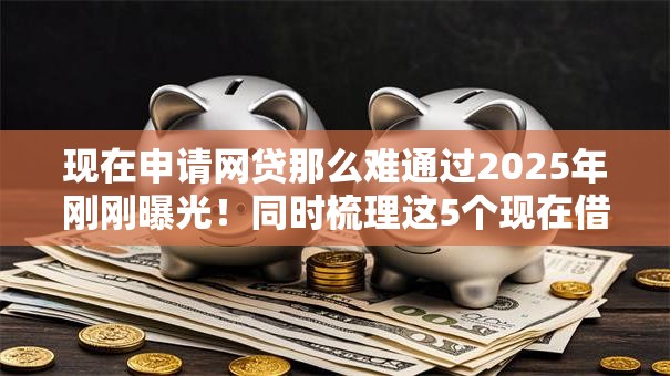 现在申请网贷那么难通过2025年刚刚曝光！同时梳理这5个现在借钱通过平台很难