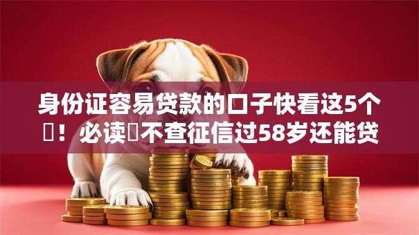 身份证容易贷款的口子快看这5个​！必读​不查征信过58岁还能贷款的平台