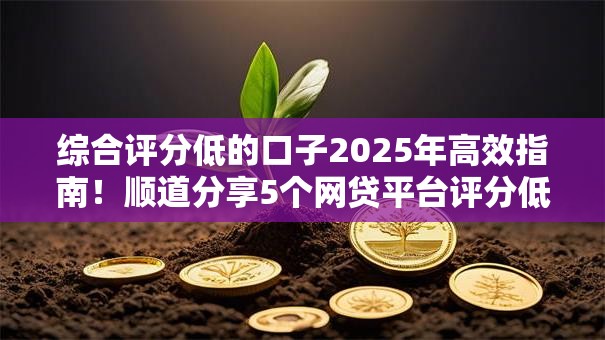 综合评分低的口子2025年高效指南!顺道分享5个网贷平台评分低借钱 综合评分低的口子2025年高效指南!顺道分享5个网贷平台评分低借钱