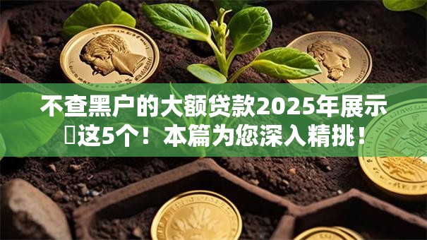 不查黑户的大额贷款2025年展示​这5个！本篇为您深入精挑！