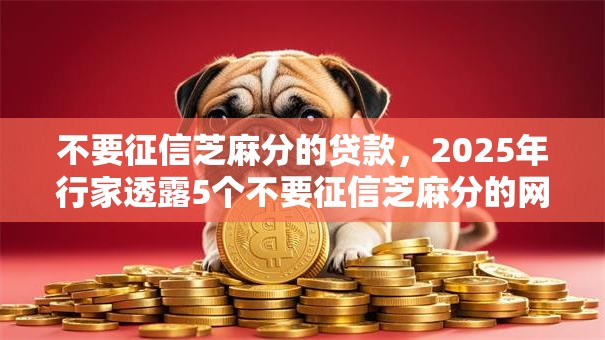 不要征信芝麻分的贷款，2025年行家透露5个不要征信芝麻分的网贷口子