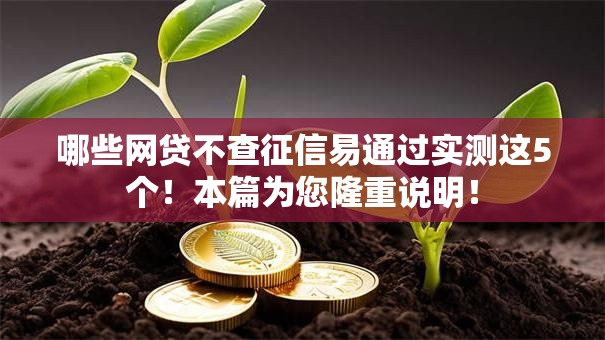 哪些网贷不查征信易通过实测这5个！本篇为您隆重说明！