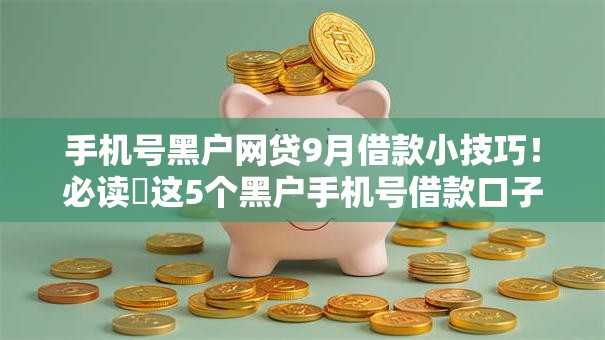 手机号黑户网贷9月借款小技巧！必读​这5个黑户手机号借款口子