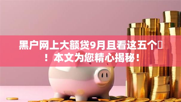 黑户网上大额贷9月且看这五个​！本文为您精心揭秘！