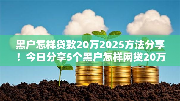 黑户怎样贷款20万2025方法分享！今日分享5个黑户怎样网贷20万口子