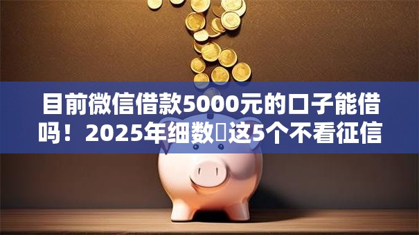 目前微信借款5000元的口子能借吗！2025年细数​这5个不看征信额度大分期多