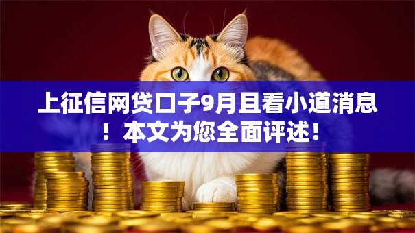 上征信网贷口子9月且看小道消息！本文为您全面评述！