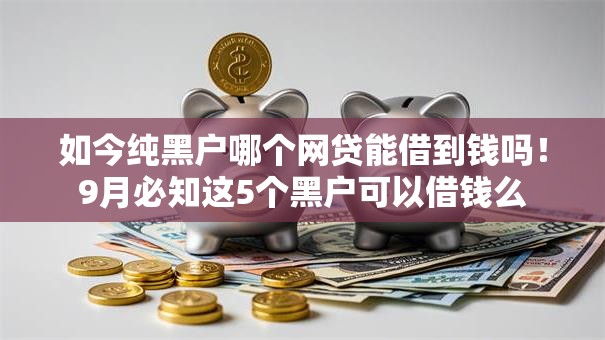 如今纯黑户哪个网贷能借到钱吗！9月必知这5个黑户可以借钱么