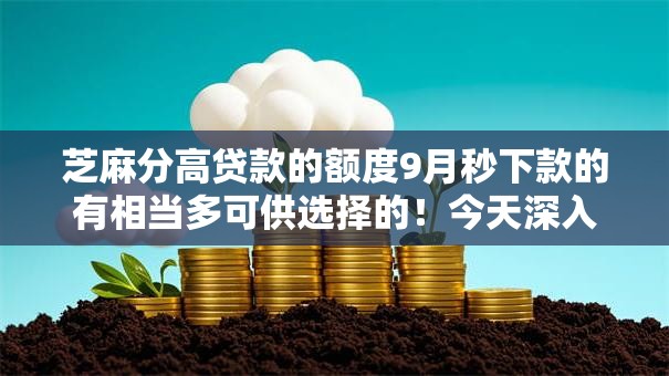 芝麻分高贷款的额度9月秒下款的有相当多可供选择的！今天深入归档这5个黑户借款口子！