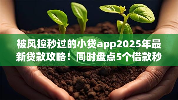 被风控秒过的小贷app2025年最新贷款攻略！同时盘点5个借款秒过的小贷软件